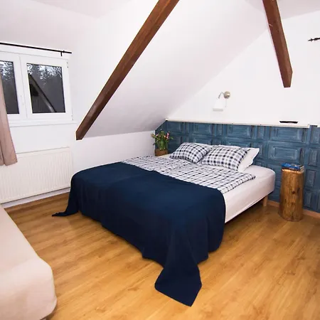 Goscinne 54 شكلارسكا بوريبا