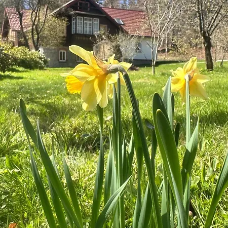 Goscinne 54 Szklarska Poreba