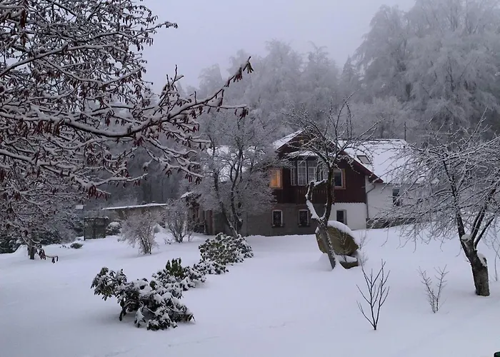 Gościnne 54 Apartament