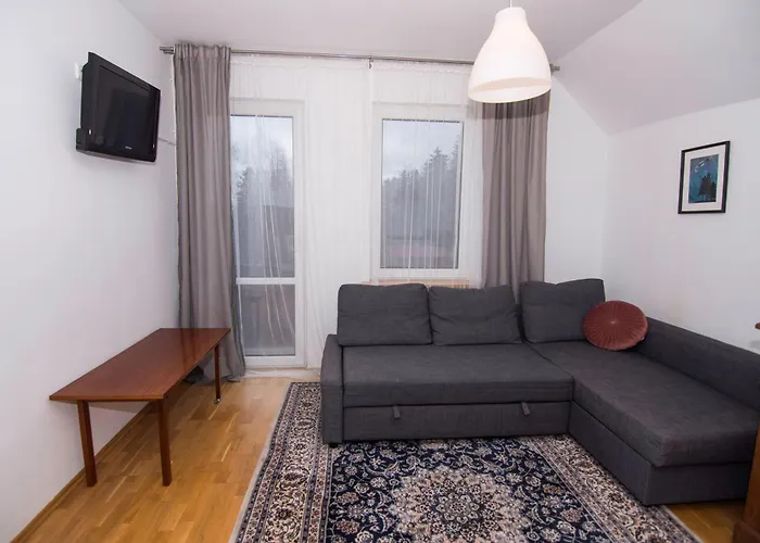 Gościnne 54 Apartament *